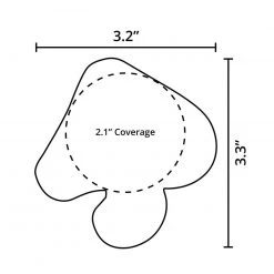 Pastease Neon Mushroom Pasties