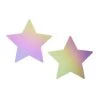 Neva Nude Reflective Star Pasties