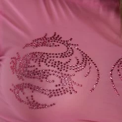 Clara Story Tops What A Drag-on Mesh Crop Top